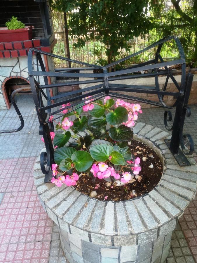 Paralía Blue Garden Rooms מראה חיצוני תמונה